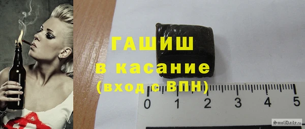 молекула духа Ельня